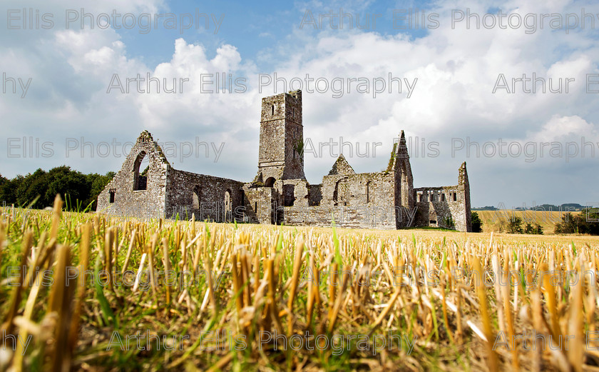 SV-Quish-022 
 Kilcrea Friary Cork.Pic Arthur Ellis. 
 Keywords: friary, church, ruins, cork, kilcrea, hay, church